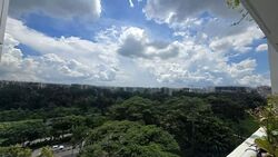 sun-plaza-view photo thumbnail #9